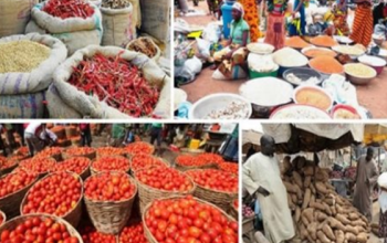 "Nigerian small-scale farmers supported by the government to boost food production and fight inflation."