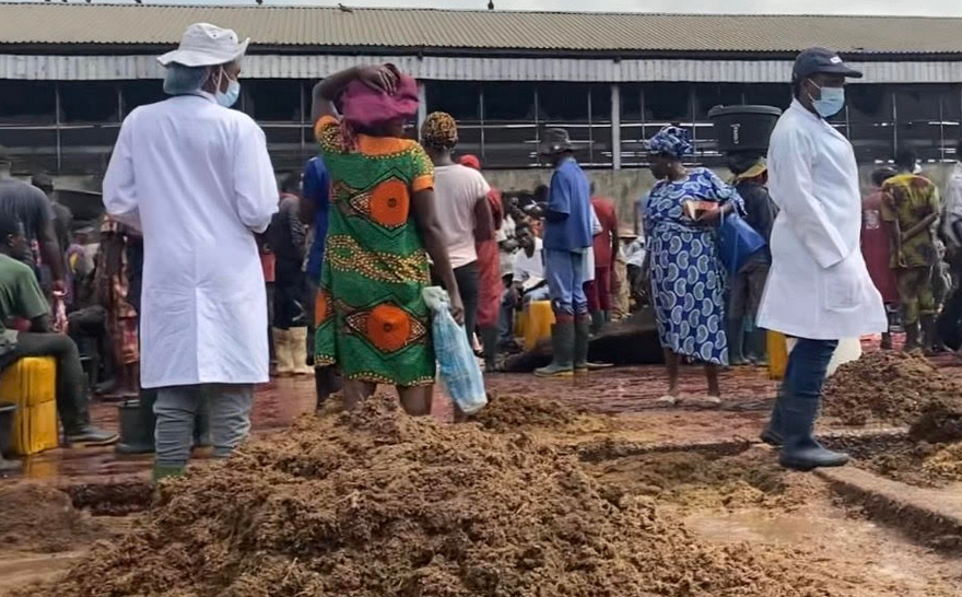 "Abattoir construction and rehabilitation projects aimed at improving Nigeria's livestock sector."